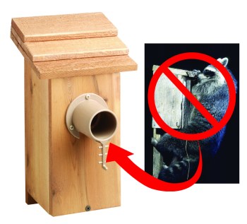 protect your nest, eggs, and baby birds with a bird guardian